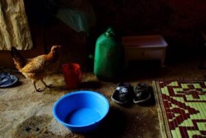 Artwork 'Chicken and Blue Pail' (2008) by Au00efda Muluneh, featuring a chicken next to a blue pail and well-worn shoes on Fuji paper.